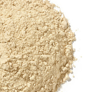 GTF B1Biofiller Grado fine con dimensioni inferiori ai 85 Micron (D97)