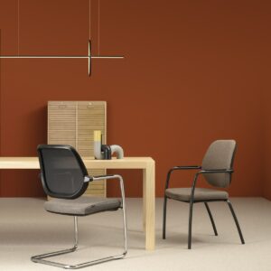 TELAIO SCHIENALE Host