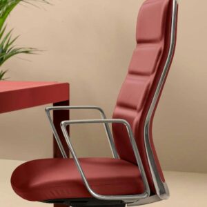 TELAIO SCHIENALE That’s it