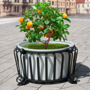 AM 512/E FIORERA “ARMONIA”