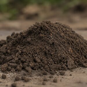 BIOMASSA VEGETALE NATURALE